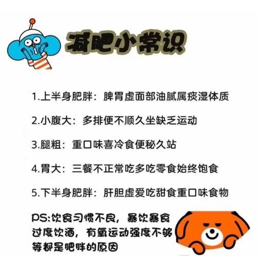 如何健康减肥？5天瘦十斤不是好主意！(1)