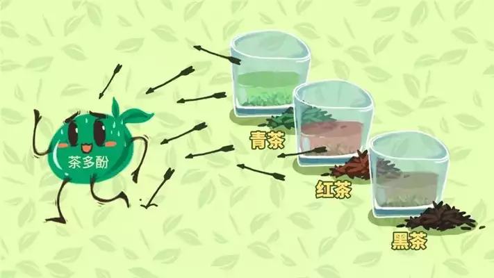 减肥喝什么茶叶最好？5种茶叶助你瘦身(1)