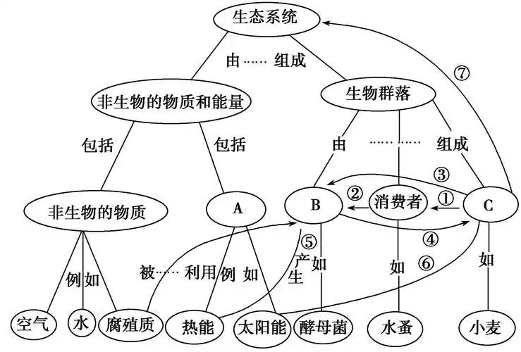 碳循环减肥方法有用吗(1)