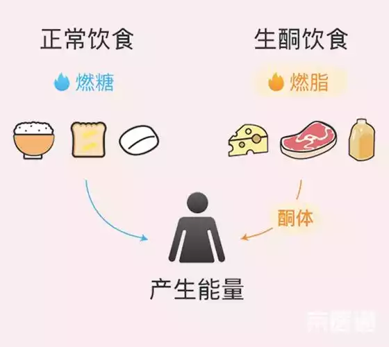 减肥饮食结构作用：科学饮食帮你轻松瘦身(1)