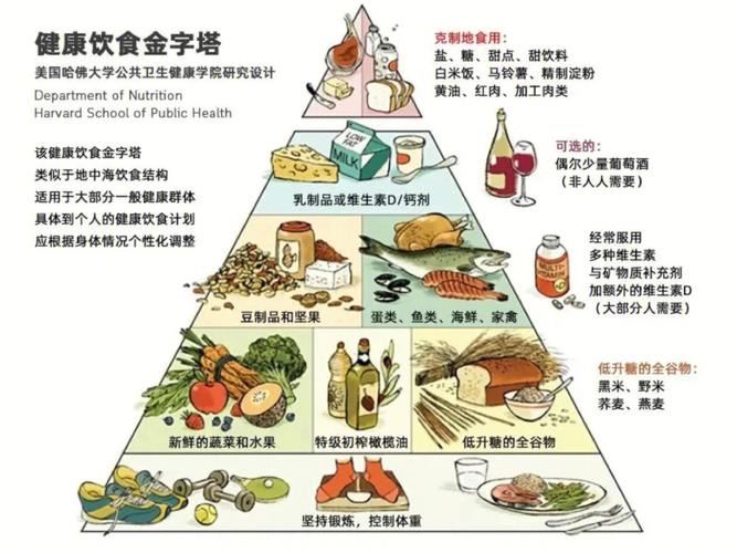 营养减肥，吃对食物才是关键(1)