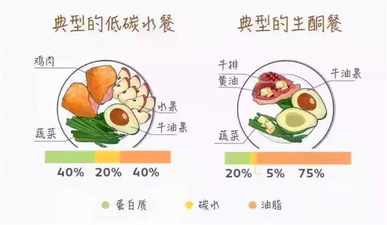 多囊生酮减肥法：从根源上解决多囊卵巢综合症(2)