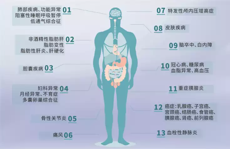 减肥死亡人数：一个让人不寒而栗的话题(2)