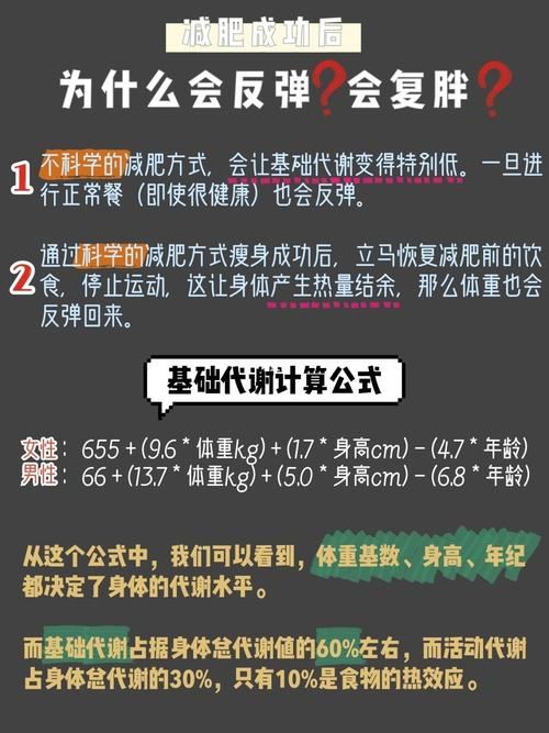 每天消耗多少卡路里才能有效减肥？(2)