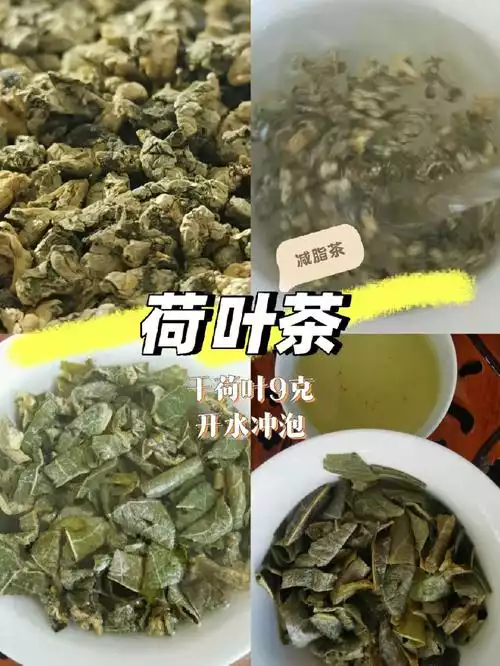 荷叶怎么喝减肥效果好(2)