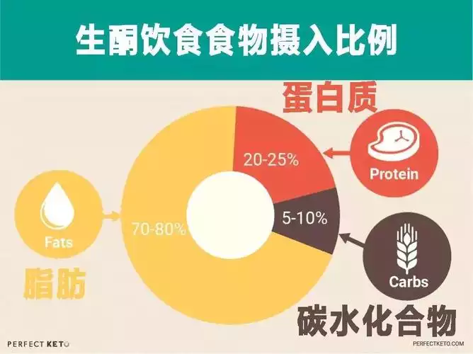 生酮减肥：科学有效的减脂方法(1)