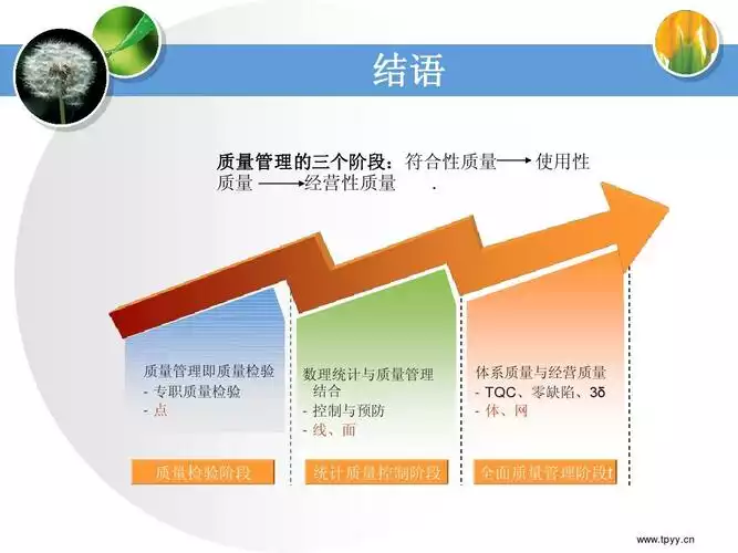 体质量怎么算？了解身体健康指标，掌握科学减肥方法(2)