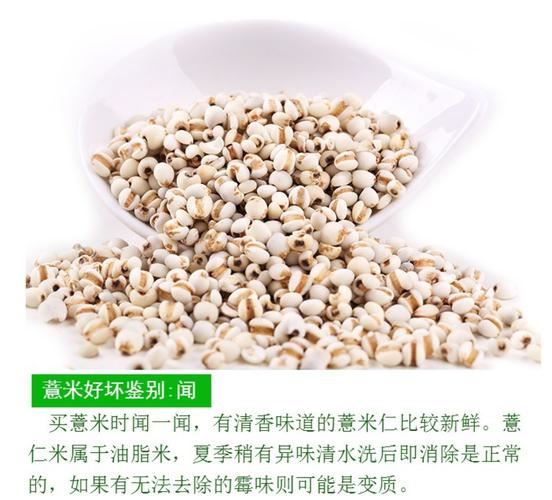 薏仁米怎么吃减肥——探究薏仁米的减肥功效和正确食用方法(2)