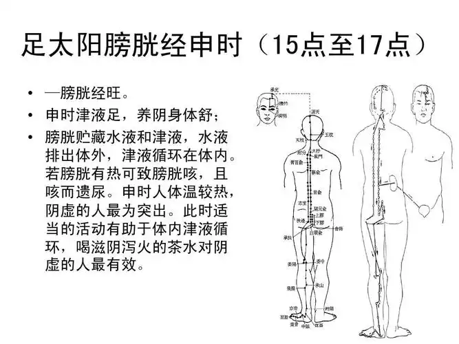 经络减肥食谱：让你瘦下来，保持健康(1)