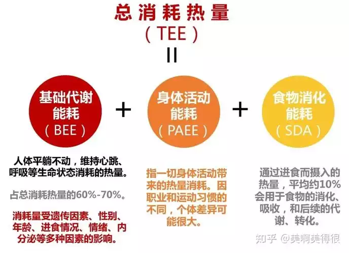 单一食物减肥：一种科学有效的健康减重方法(1)