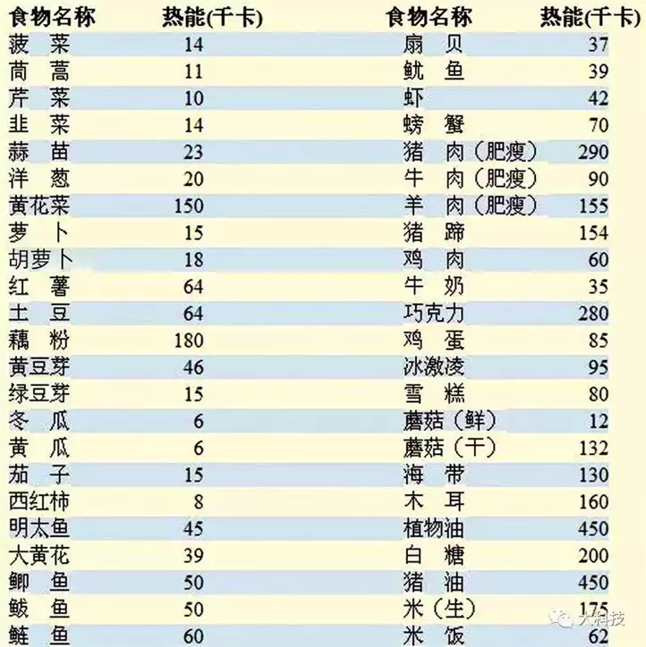 负热量食物：真的能帮你减肥吗？(1)