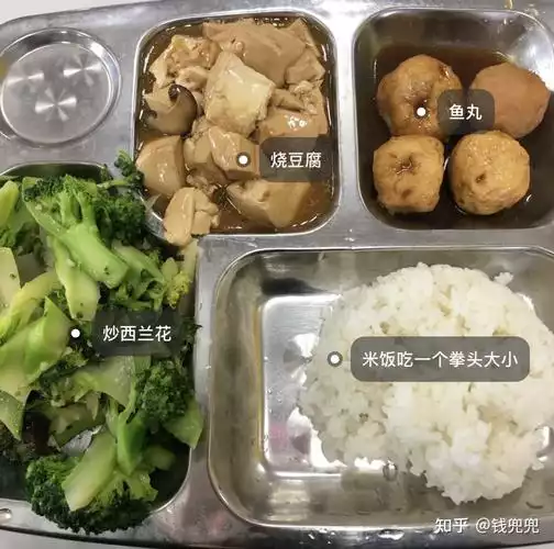 校园生活中的健康减肥：营养均衡的食谱和生活方式(2)