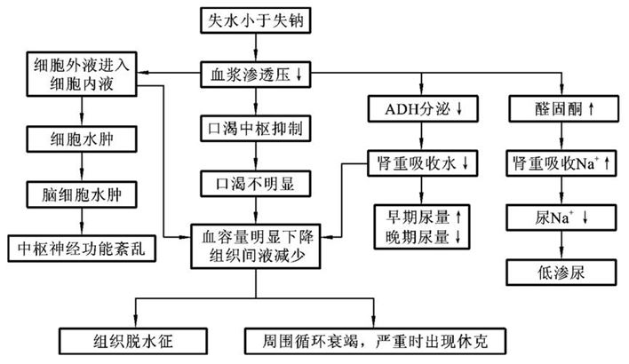 脱水运动减肥法：有效还是危险？(2)