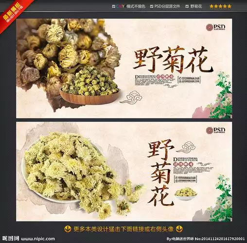 天山雪菊茶：美味减肥的秘密武器(1)