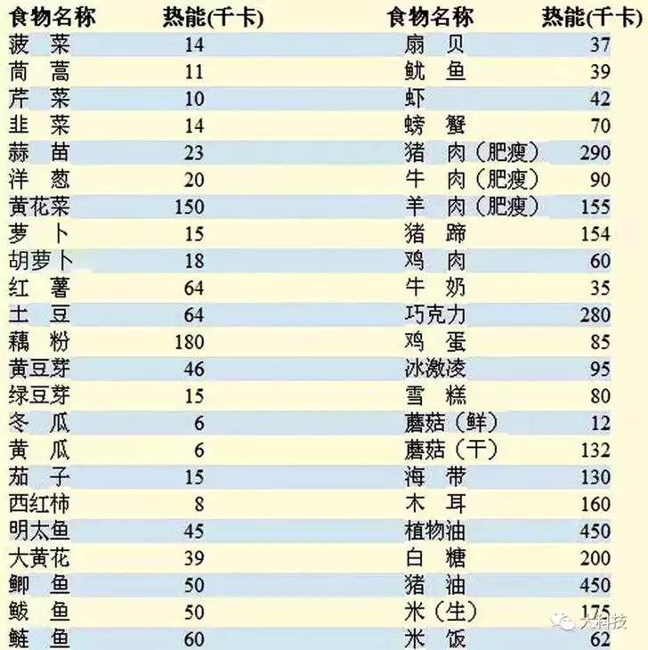 如何选择低热量食物，让你轻松减肥(1)