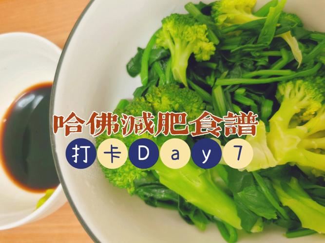 哈佛28天减肥食谱：科学减肥的新选择(1)