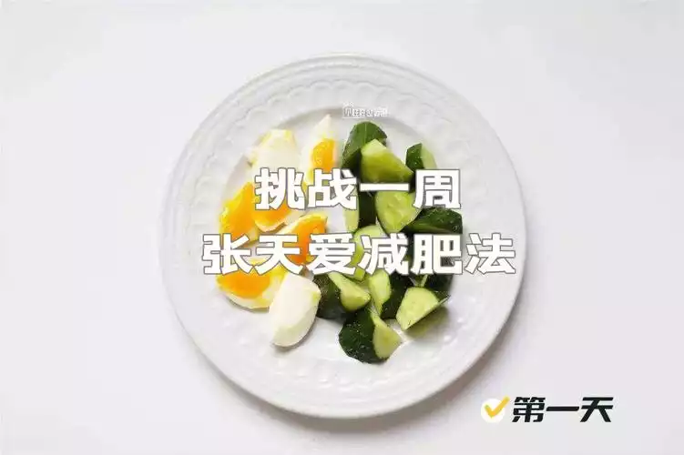 蛋白质减肥法：成功经验和科学解析(1)