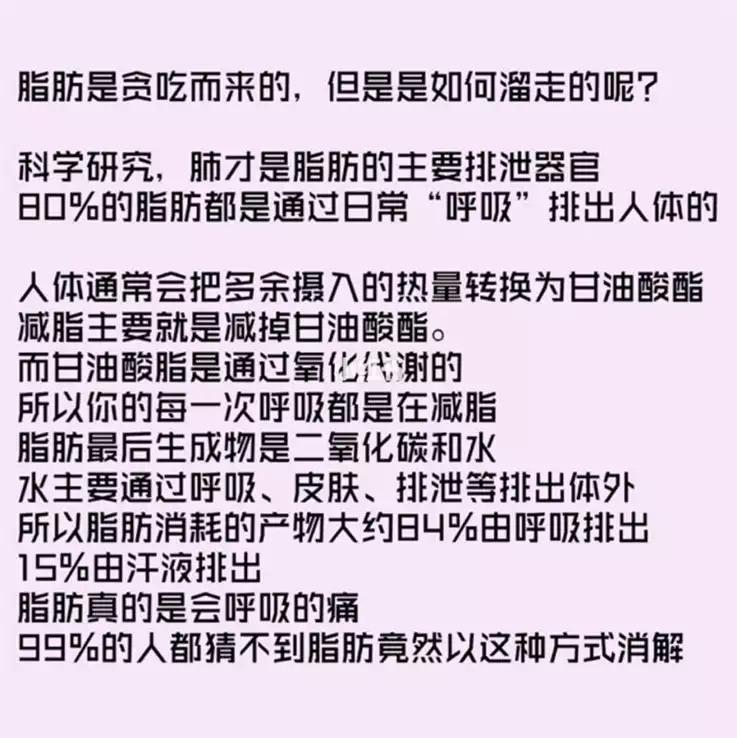 减肥期间吃什么容易排便？这些食物帮你轻松通便(1)