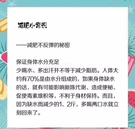 健康与减肥的生活小常识：从饮食到运动，打造健康美好的生活(1)