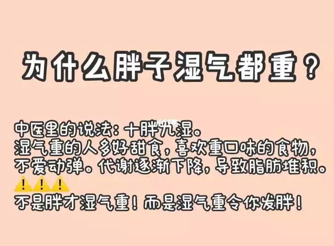 湿气重如何通过饮食减肥？(1)