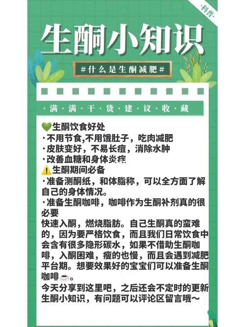 高蛋白生酮减肥法：一种高效、健康的减肥方式(2)