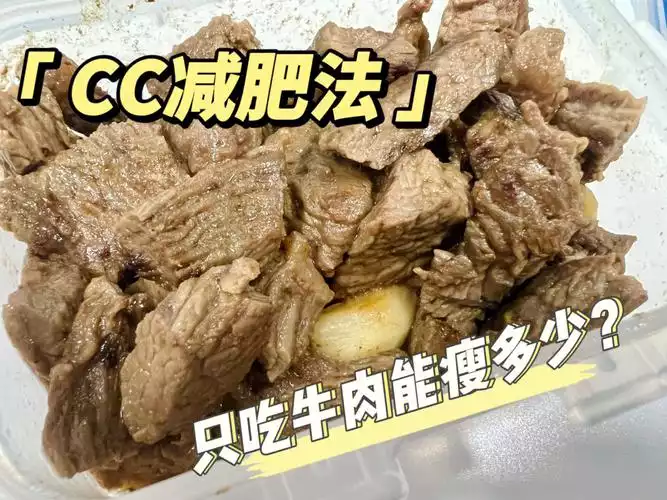 吃牛肉减肥法期间可以吃面吗——探究牛肉和面对减肥的影响(1)