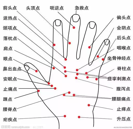 灸穴减肥：穴位、方法、效果全解析(2)