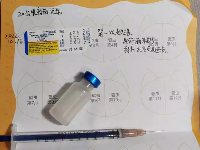 扎针减肥：一种有效但需谨慎的减肥方法(1)