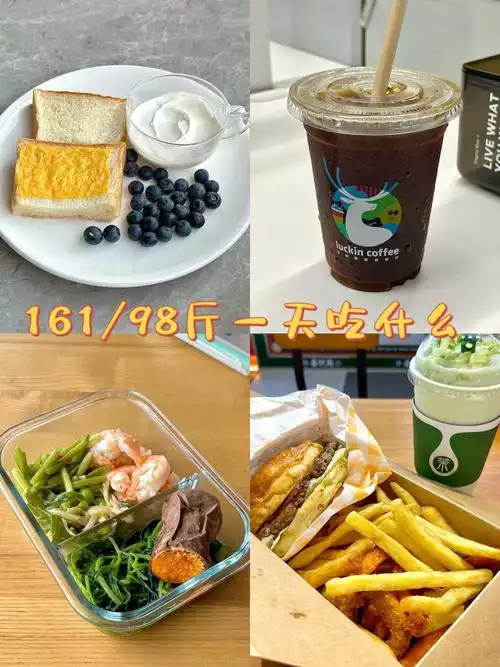 轻食代餐：一种健康减肥方式(2)