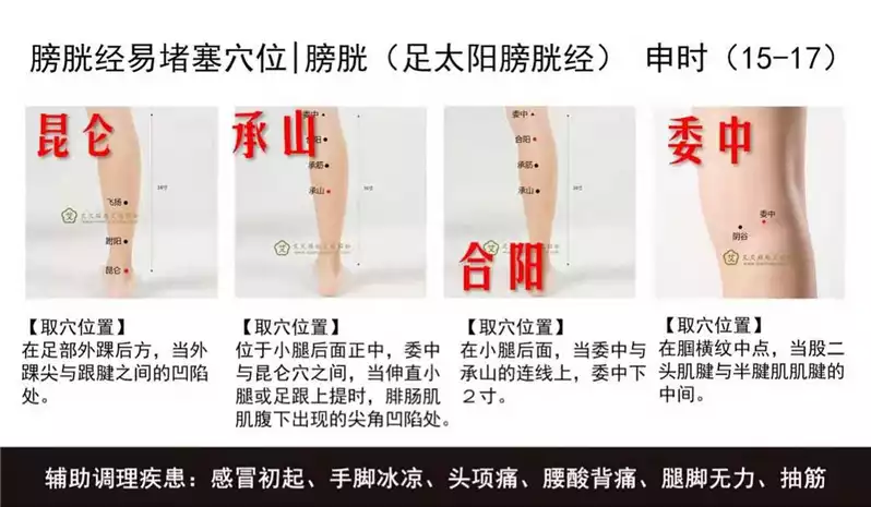 敲带脉减肥：一种科学健康的减肥方法(1)