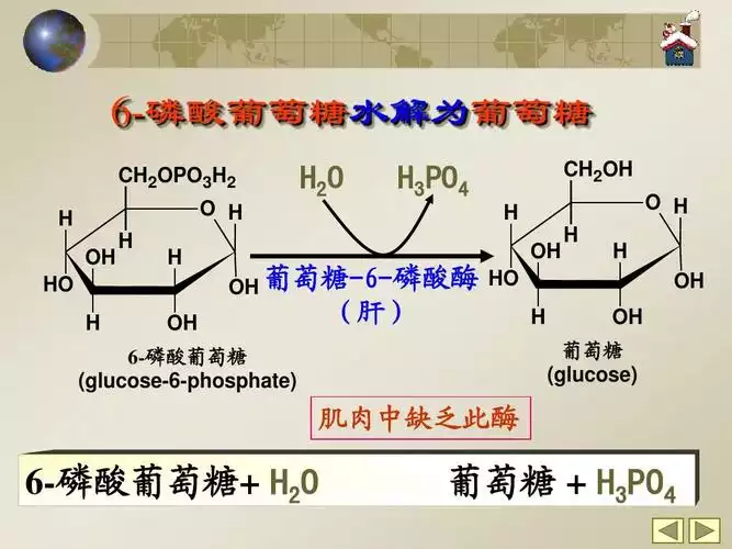 葡萄糖减肥法(1)