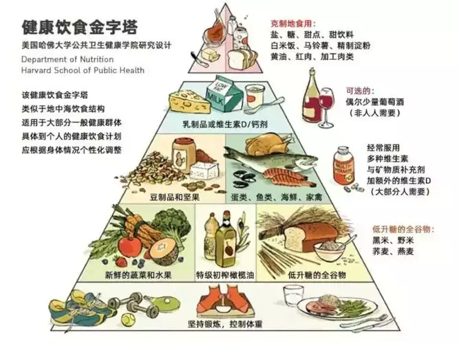 揭秘CVG营养棒：它真的能减肥吗？(2)