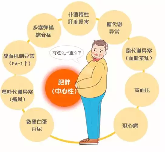 如何让体质结实的人减肥？(1)