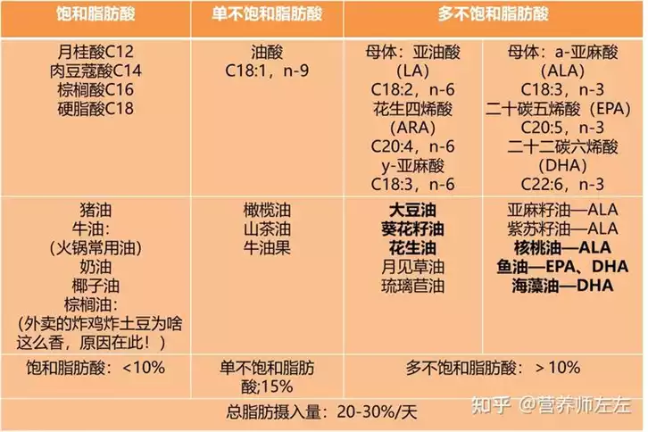 如何科学减肥？探究减肥的组成(1)