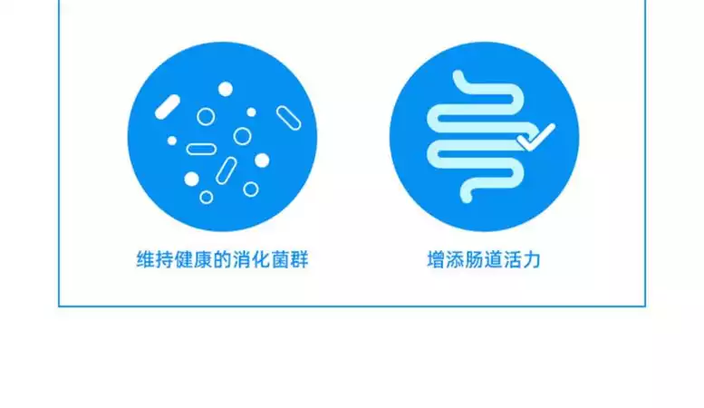 益生菌真的能减肥吗？科学解析(1)