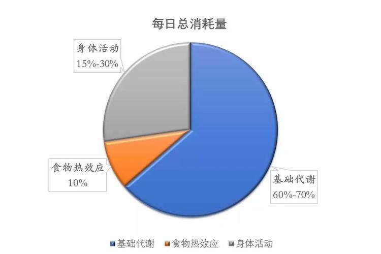 减肥运动量多大合适(2)