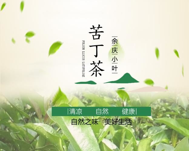 苦丁茶：有效减肥的秘密武器(2)