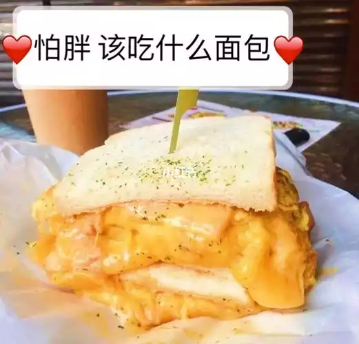 减肥面包十大品牌(1)